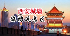 欧美插逼网中国陕西-西安城墙旅游风景区