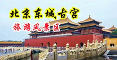 鸡巴插逼小视频中国北京-东城古宫旅游风景区